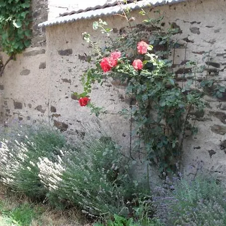 Bauernstube Scheidterhof Apartment