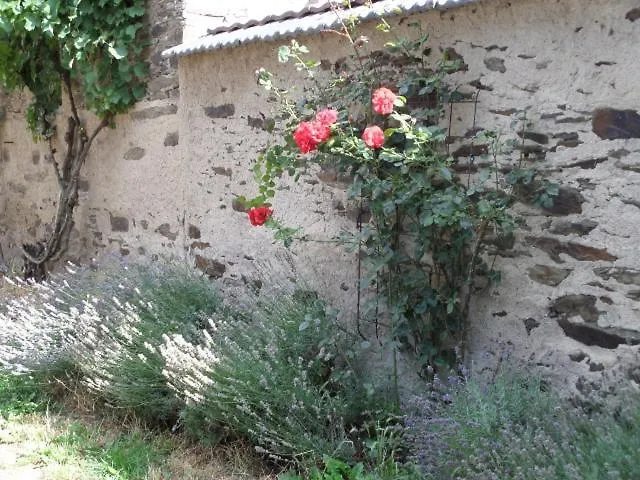 Bauernstube Scheidterhof 아파트