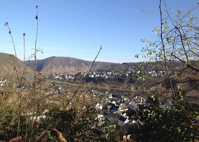 Bauernstube Scheidterhof 아파트 코베른곤도르프