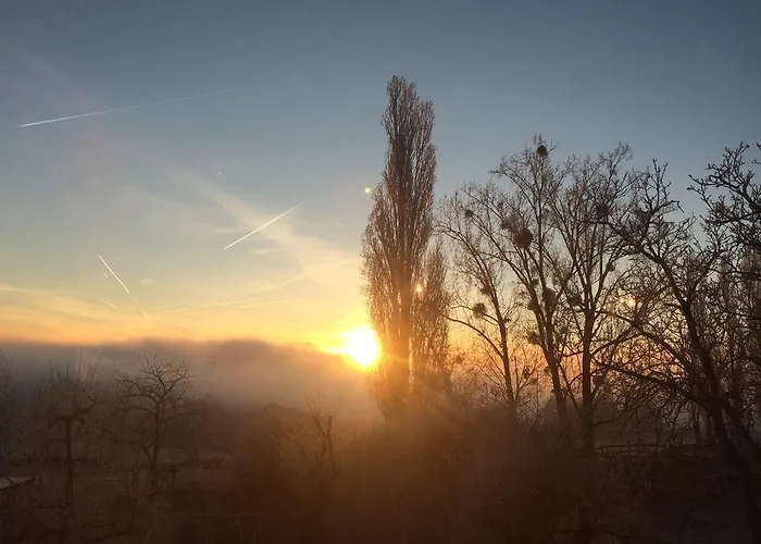 아파트 Bauernstube Scheidterhof *